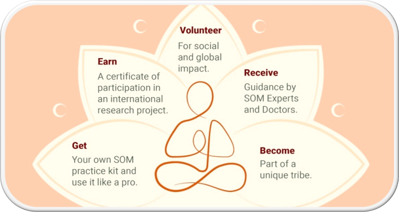 som projekt elemente lotus rechteck 800x426